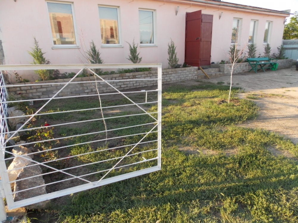 Можжевельник #17