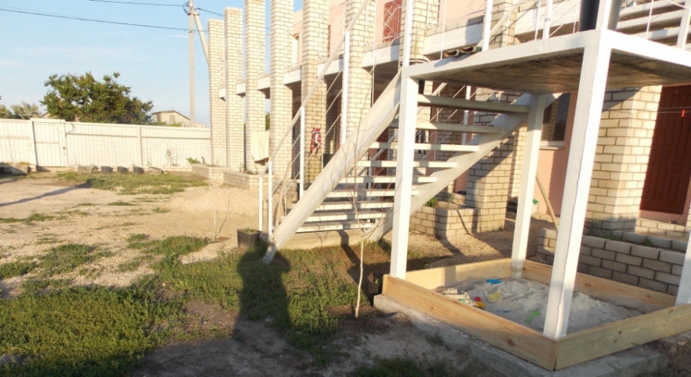 Можжевельник #18