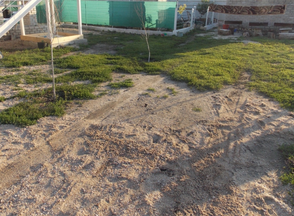 Можжевельник #19