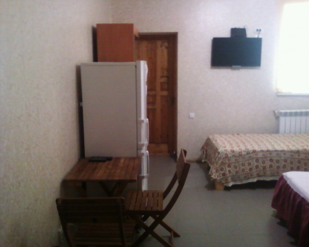 Можжевельник #20