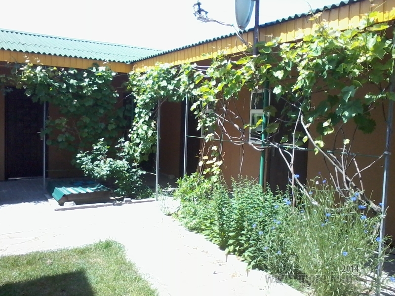 У Руслана #2