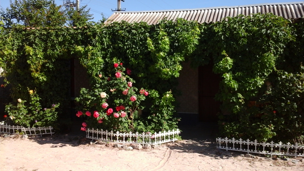 База отдыха в Ген Горке #2