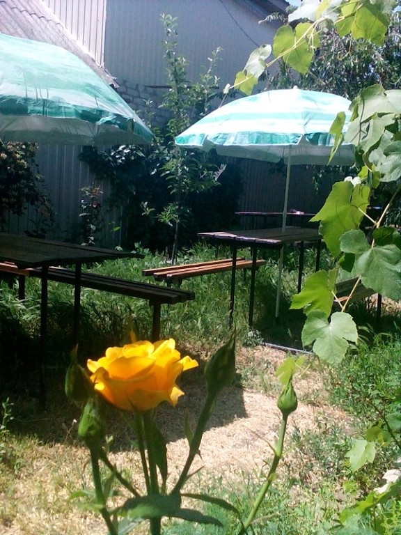 Сдаются уютные номера для семейного отдыха у моря #9