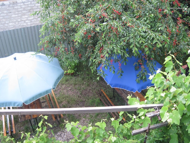 Сдаются уютные номера для семейного отдыха у моря #11