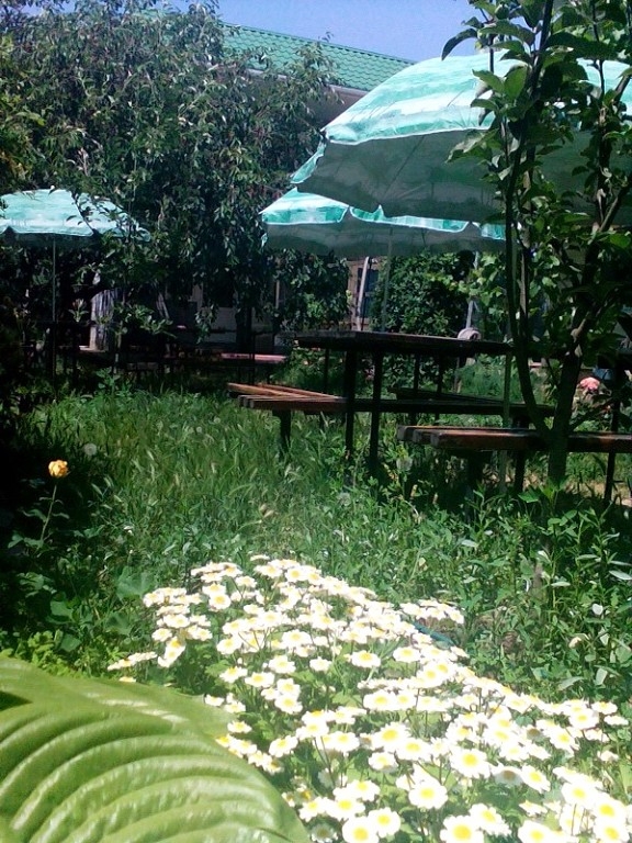 Сдаются уютные номера для семейного отдыха у моря #14