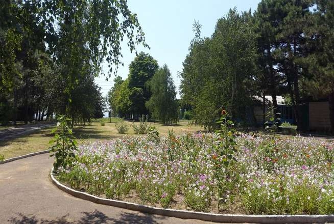 Аренда жилья отдых Очаков #3