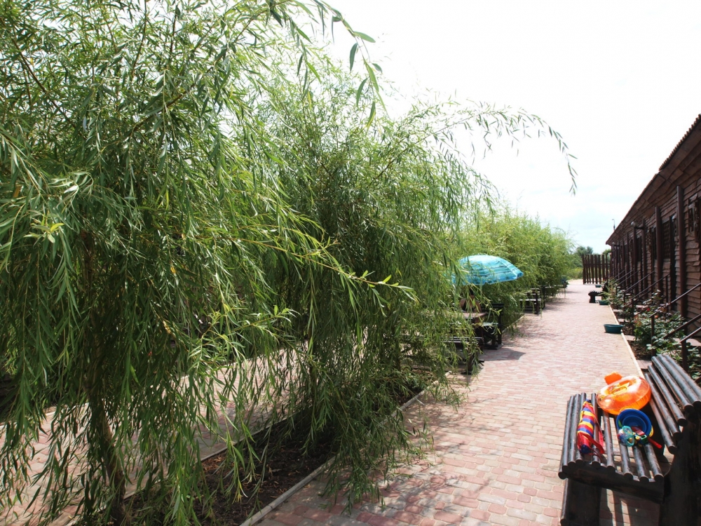 База отдыха 