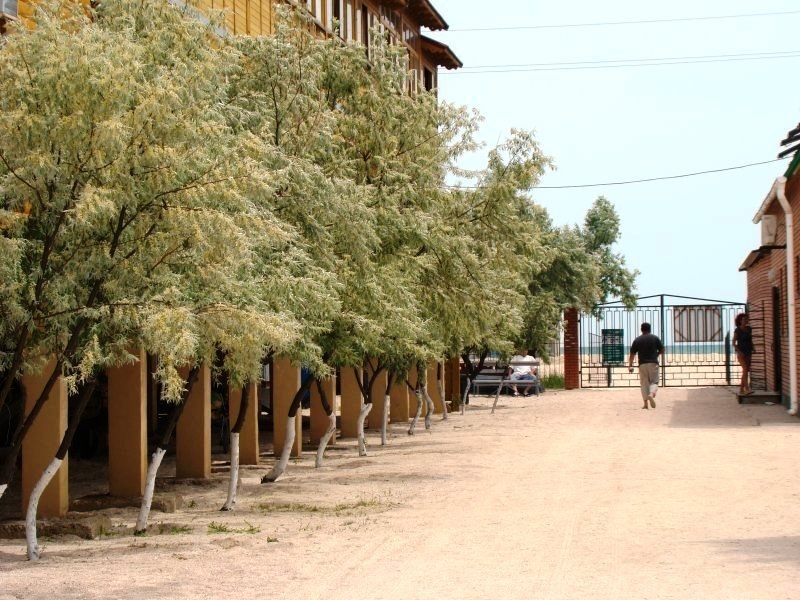 База отдыха 