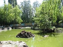 База отдыха 