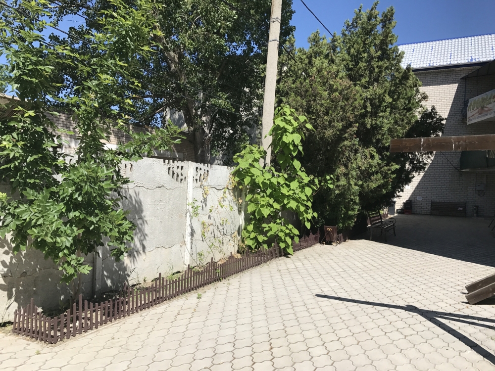 Пансионат Авокадо 2021 #9