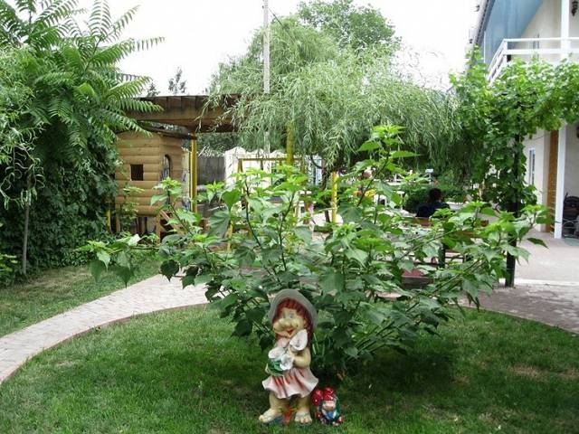 База отдыха 