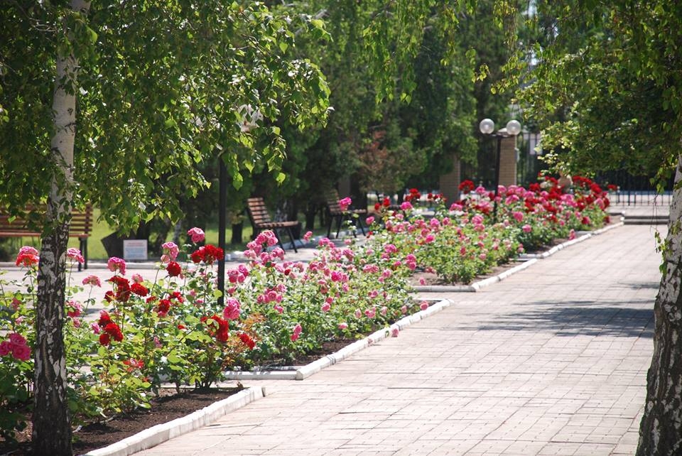 База отдыха 