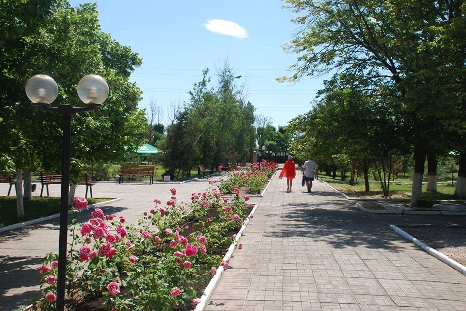 База отдыха 