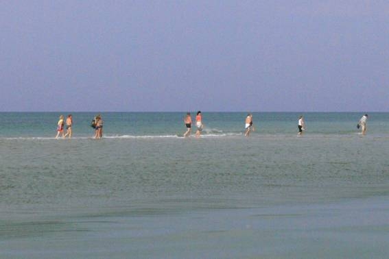 База отдыха 