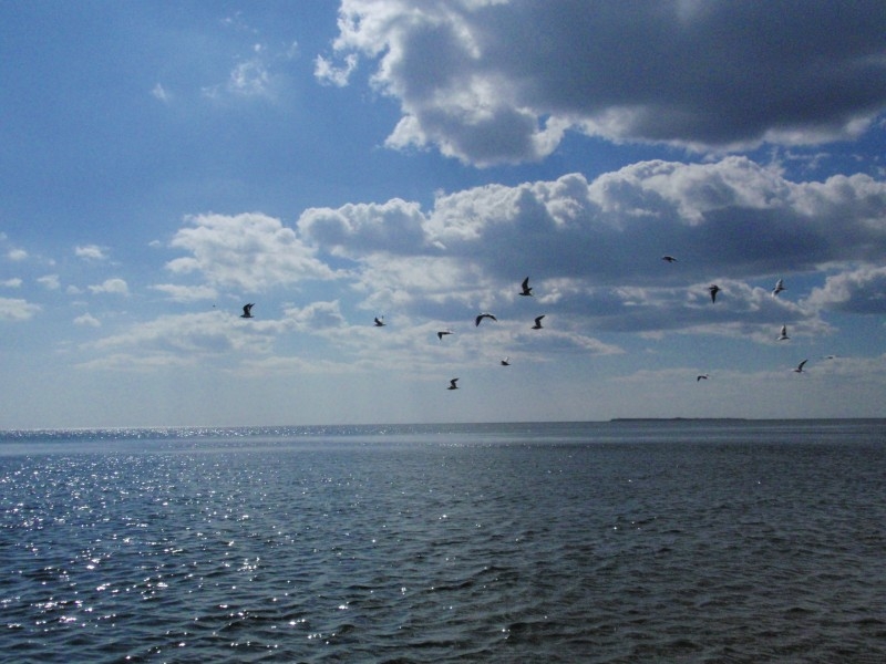 База отдыха 