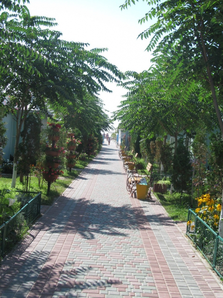 База отдыха 