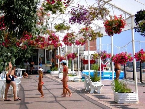 База отдыха 