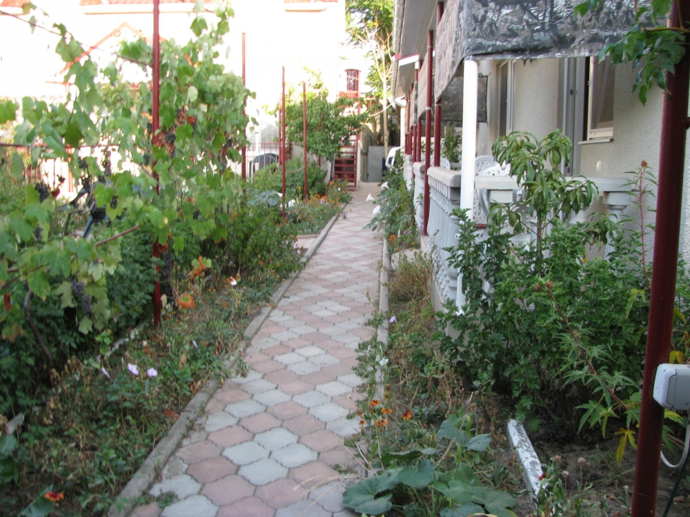 База отдыха 