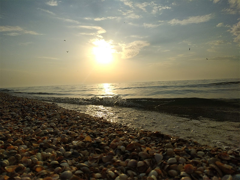 База отдыха 