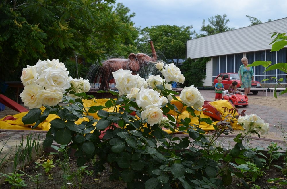 База отдыха 