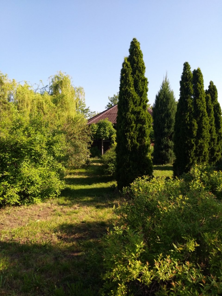 База отдыха 