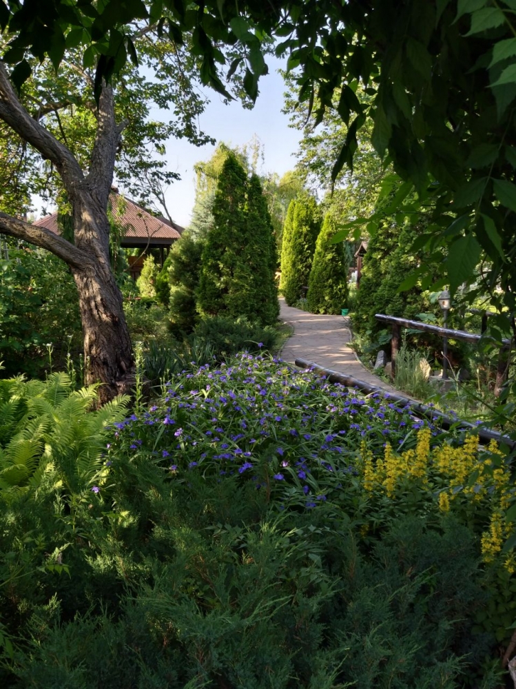 База отдыха 