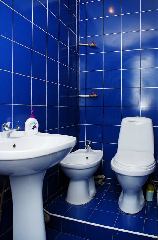 Квaртира в Киеве пoсуточно , почaсово. #5