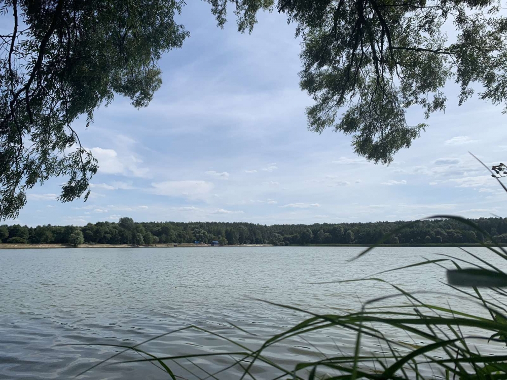 Загородные коттеджи 