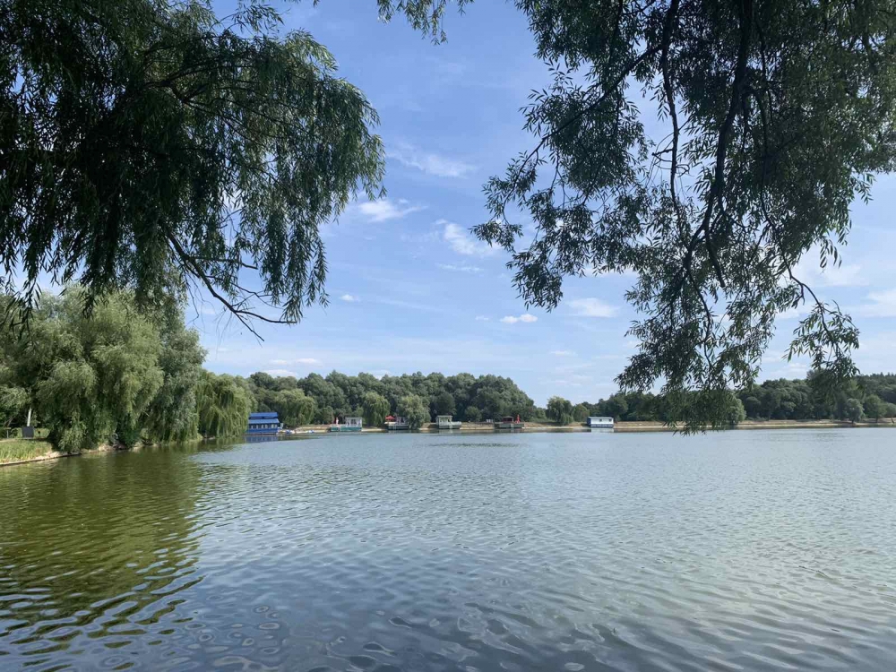 Загородные коттеджи 