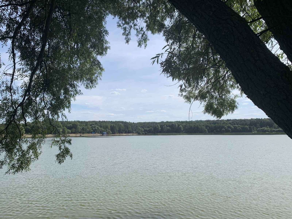 Загородные коттеджи 