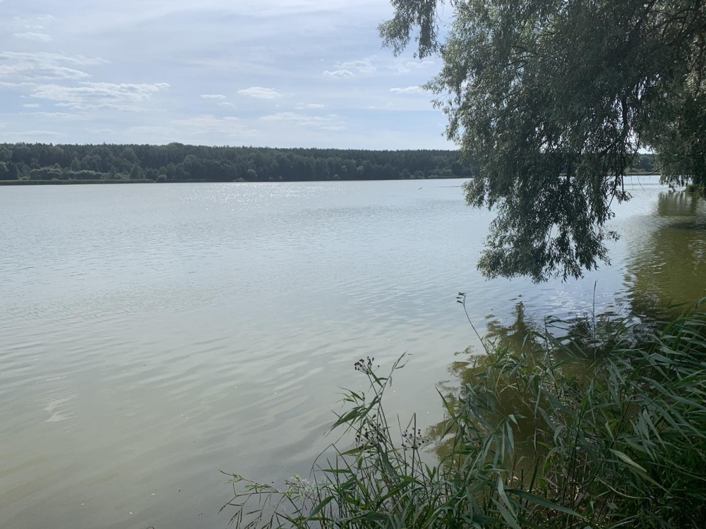 Загородные коттеджи 