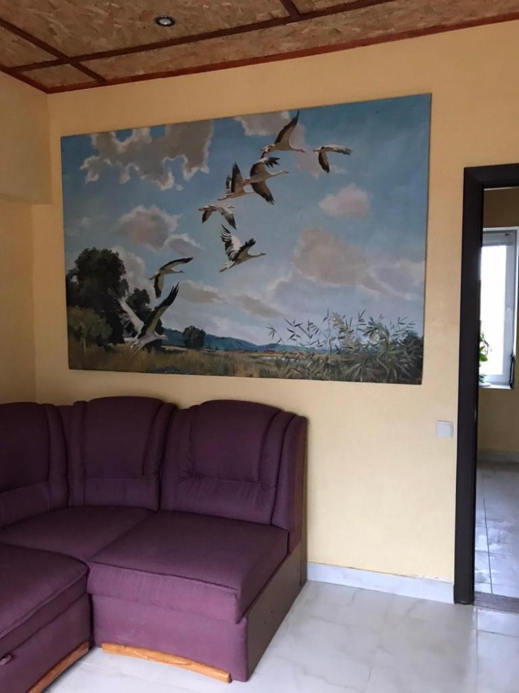 Усадьба в Алешках 