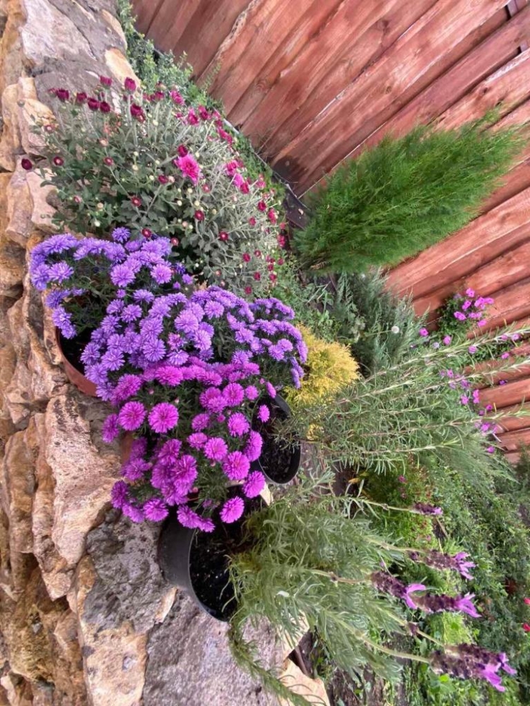 Усадьба в Алешках 