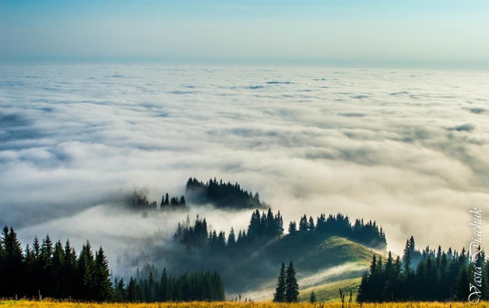 Частная усадьба 