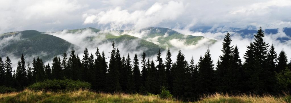 Частная усадьба 