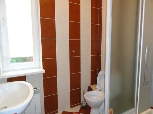 Аренда дома под Киевом, с. Николаевка #4