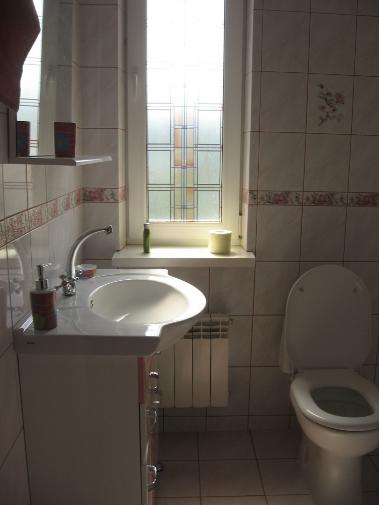 Аренда дома под Киевом, с. Николаевка #5