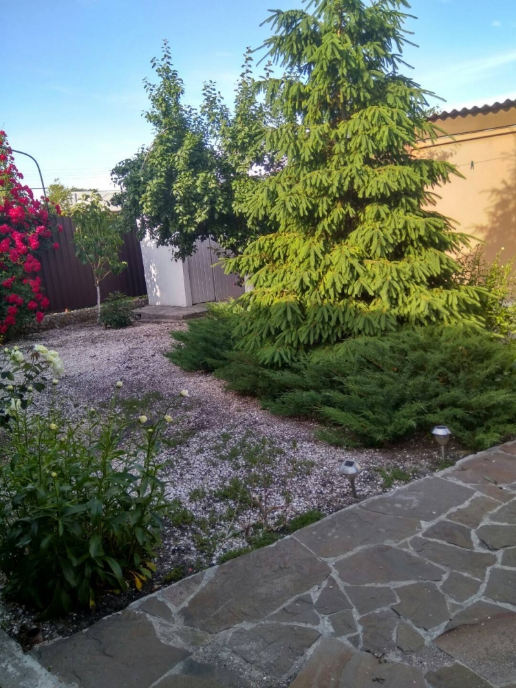 Сдам дом (евроремонт) с мангальной, отдельным двор... #5