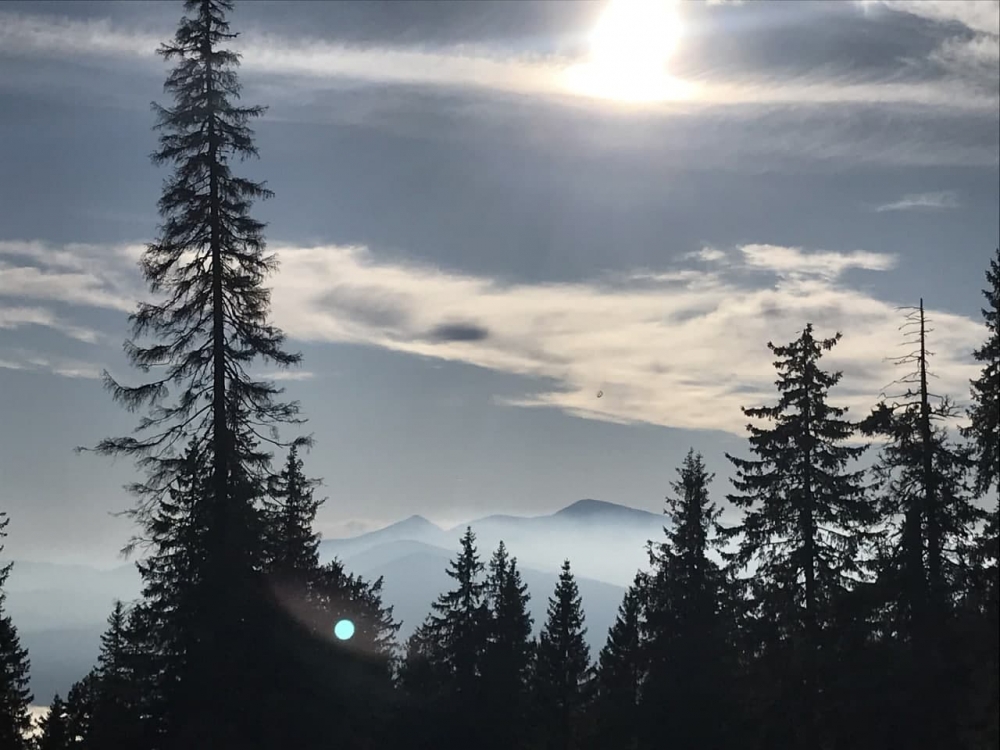 Отель Alpin Eco Chalet #19