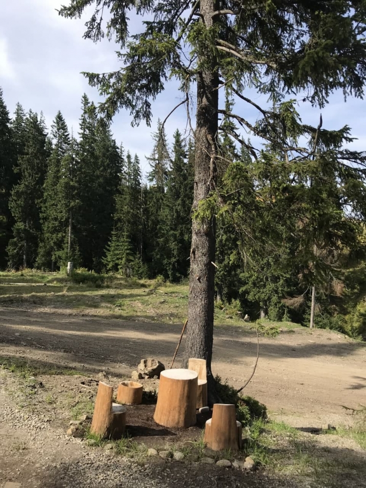 Отель Freerider Драгобрат #9