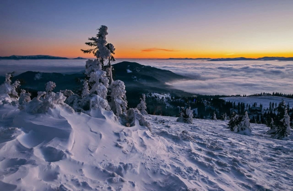 Отель Freerider Драгобрат #18