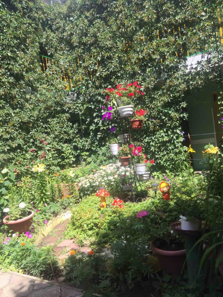 Пансионат OAZIS #12