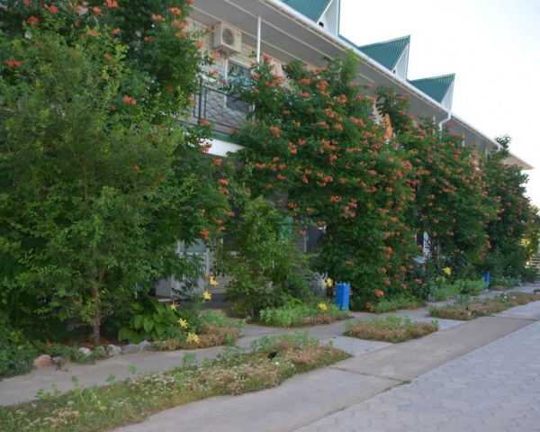 База отдыха 