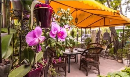 Частное домовладение 