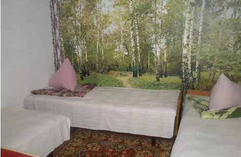 Частное домовладение 