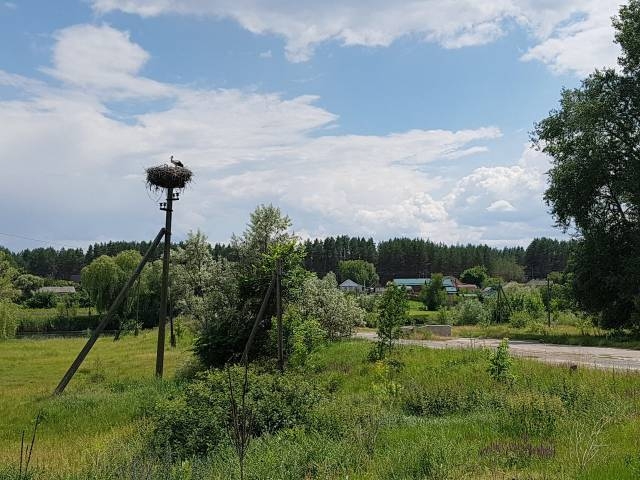 База отдыха