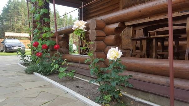 База отдыха
