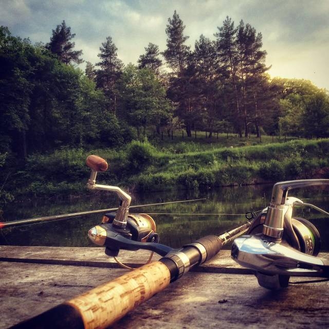 База відпочинку та рибальства Fishing&Park #11