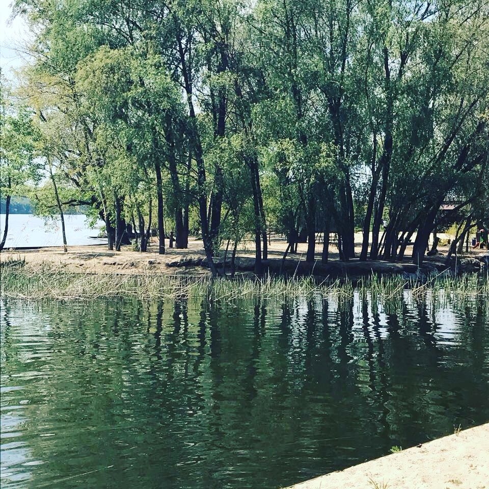 База отдыха 