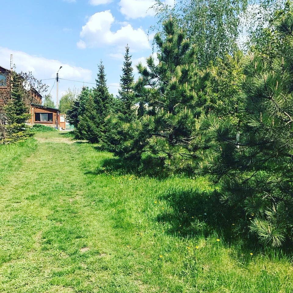 База отдыха 